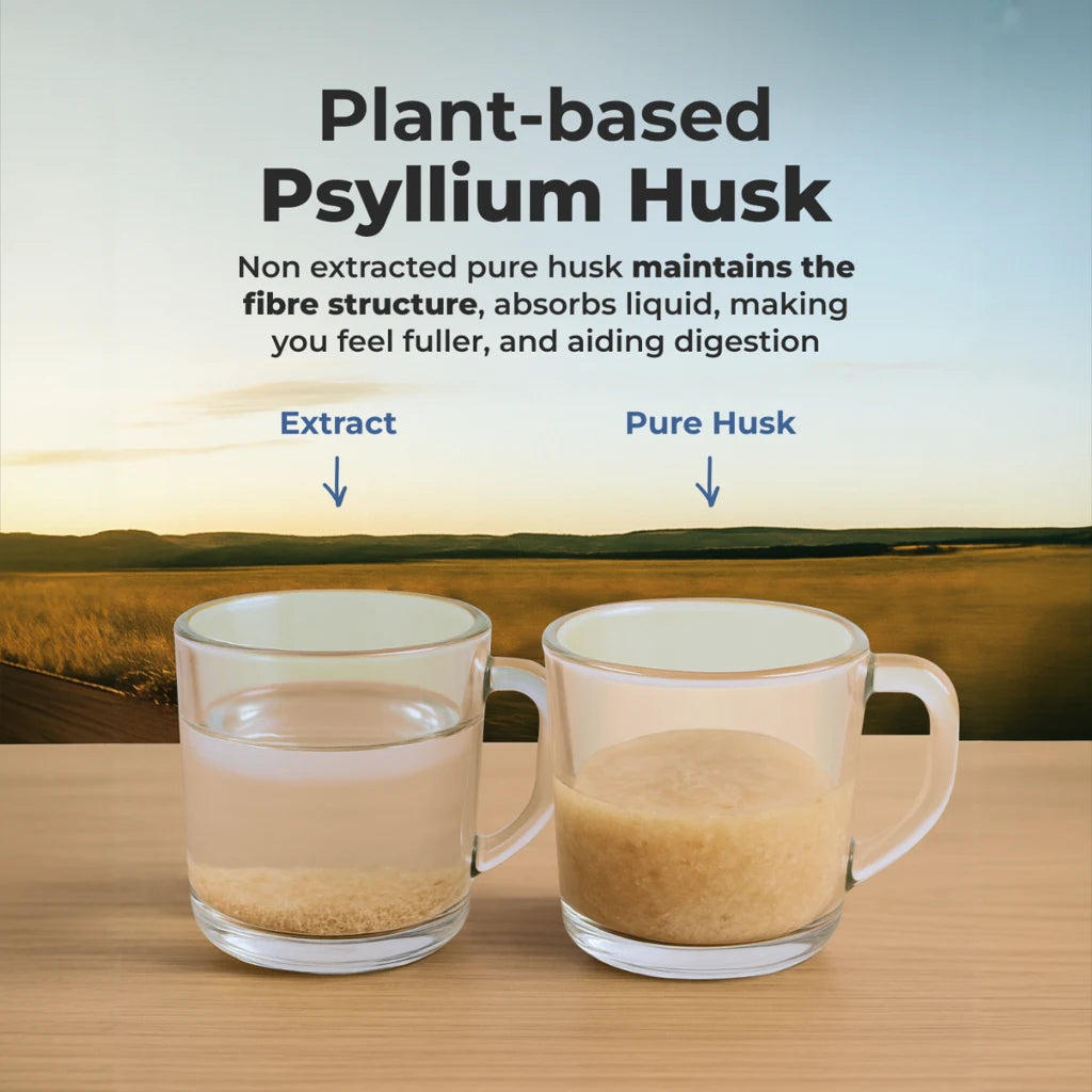 Psyllium Husk - Extract vs Pure Husk 
